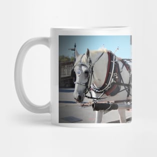 Percheron Draft Horses Mug